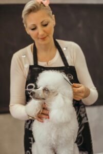 beauty salon for dogs